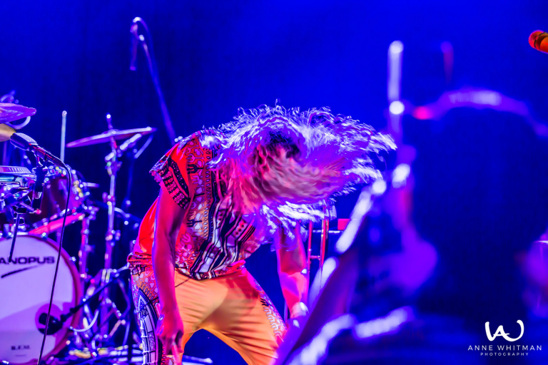 screen-shot-2017-02-19-at-1-33-39-am