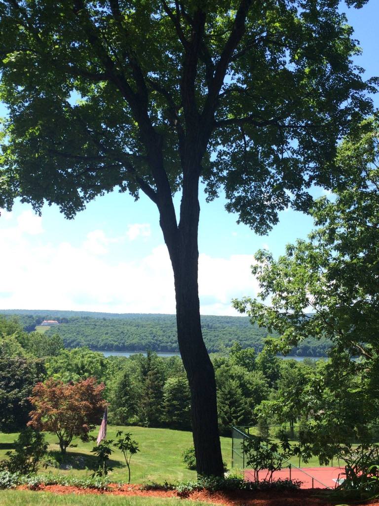 13723999_1135234173236859_8913010508751485499_o