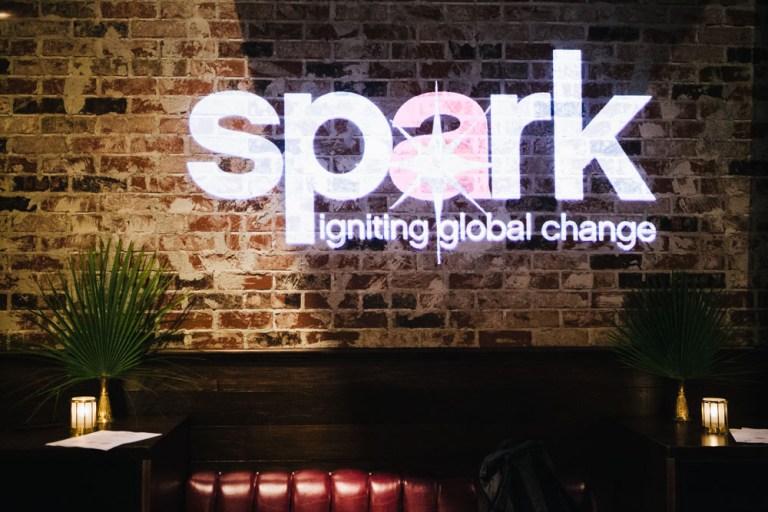 2019 SPARK Kick Off-22