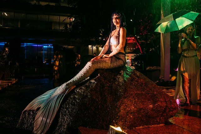 46919931485_e4bac1beaf_z